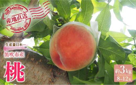 【2026年発送★先行予約】厳選！山梨県笛吹市産桃 約3kg（8～12玉） 156-002