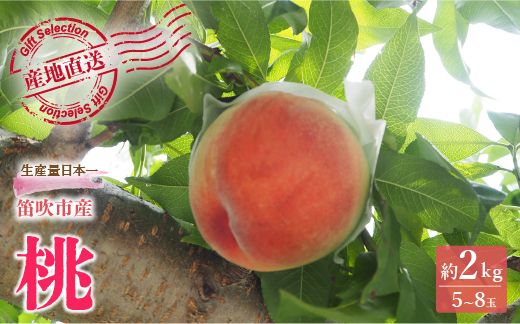 【2026年発送★先行予約】厳選！山梨県笛吹市産桃 約2kg（5～8玉） 156-003