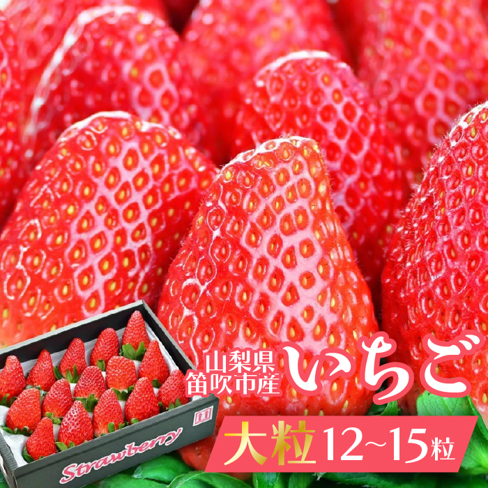 【山梨県笛吹市】大粒いちご12～15粒入り 164-004