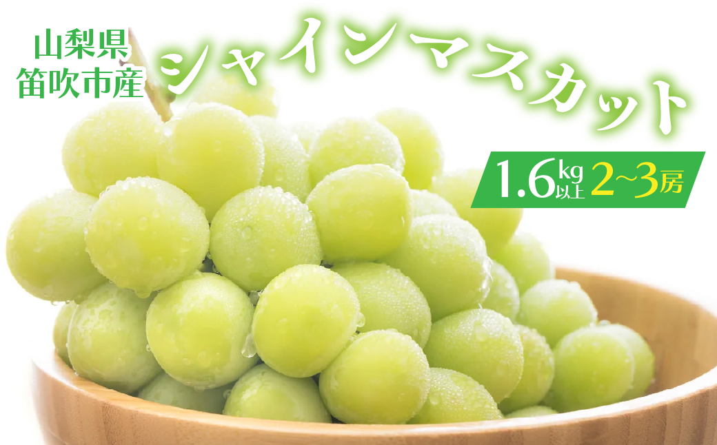 【2026年発送★先行予約】＞シャインマスカット 2-3房入り 1.6kg以上 1箱　164-005