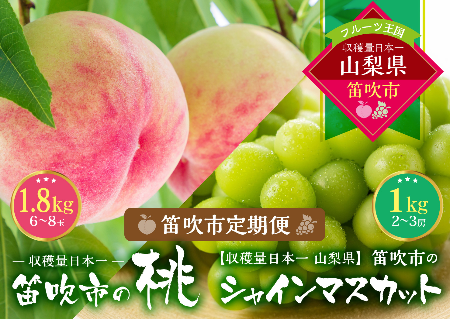 【2026年発送★先行予約】『山梨夏の味覚定期便』笛吹市産旬の桃とシャインマスカット各１回 167-014