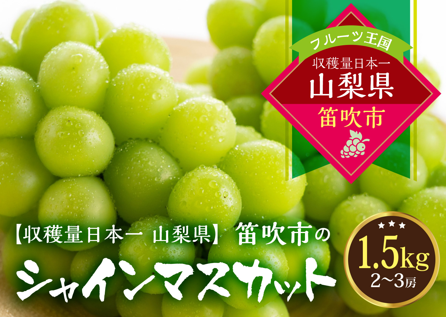 【2026年発送★先行予約】葡萄の一大産地！笛吹市産シャインマスカット1.5kg 167-107