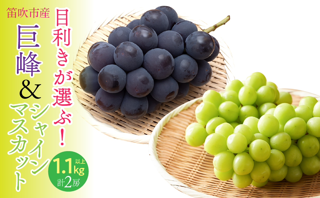 【2026年発送★先行予約】目利きが選ぶ！笛吹産巨峰・シャインマスカット　1.1ｋｇ以上（各1房 計2房入り） 168-102