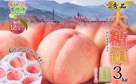 【2026年発送★先行予約】桃 秀品 3.0kg 大糖領 糖度12％以上※クール便配送 177-002