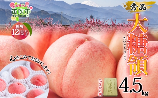 【2026年発送★先行予約】桃 秀品 4.5kg 大糖領 糖度12％以上※クール便配送 177-003
