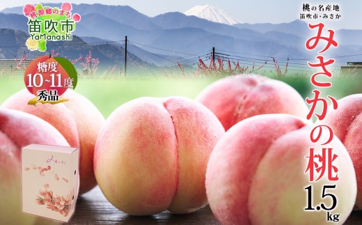 【2026年発送★先行予約】桃 秀品 1.5kg 糖度10％以上※クール便配送 177-004