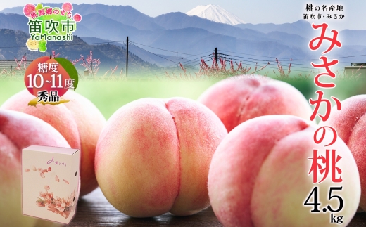 【2026年発送★先行予約】桃 秀品 4.5kg 糖度10％以上※クール便配送 177-006