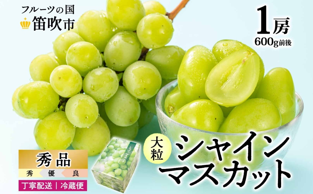 【2026年発送★先行予約】シャインマスカット 1房 600g前後 クール便配送 177-008