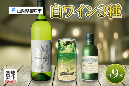 白ワイン 瓶 缶 飲み比べ 瓶1本+缶2種8本 モンデ酒造 177-4-046|白ワイン 飲み比べ 缶ワイン白ワイン 飲み比べ 缶ワイン白ワイン 飲み比べ 缶ワイン白ワイン 飲み比べ 缶ワイン白ワイン 飲み比べ 缶ワイン白ワイン 飲み比べ 缶ワイン白ワイン 飲み比べ 缶ワイン白ワイン 飲み比べ 缶ワイン白ワイン 飲み比べ 缶ワイン|