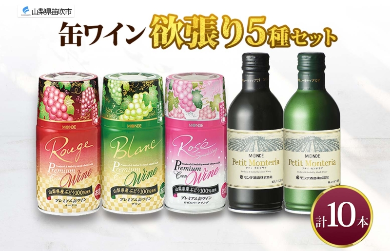 缶ワイン 欲張り 5種 飲み比べ セット 各2本 計10本 飲み比べ モンデ酒造 赤 ロゼ 白 ブラン 酒 お酒 贈答 ギフト 晩酌 宅飲み 家飲み キャンプ BBQ バーベキュー パーティー アウトドア 送料無料 山梨県 笛吹市  177-4-174