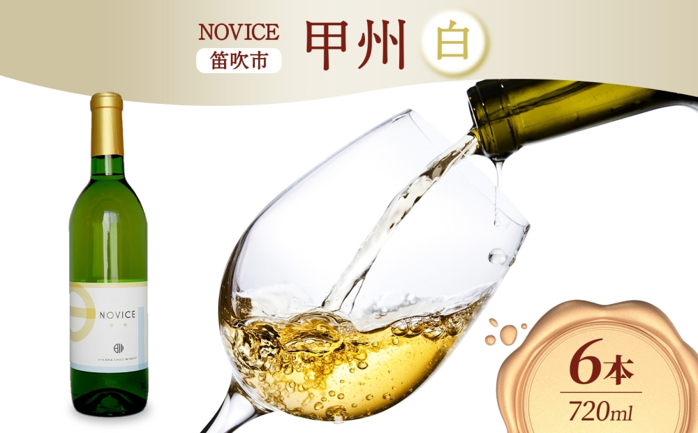 白ワイン NOVICEノヴィス 甲州 720ml×6本 フルボトル ワイン お酒 白 山梨 送料無料 日川中央葡萄酒 山梨県 笛吹市 177-7-30