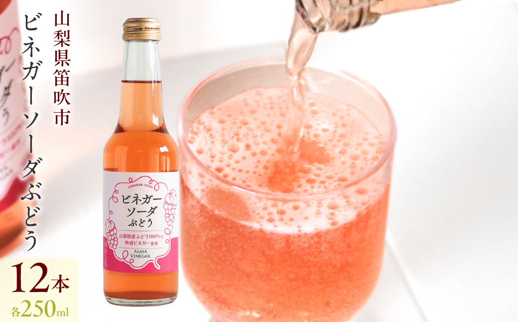 ビネガーソーダぶどう12本セット 182-031