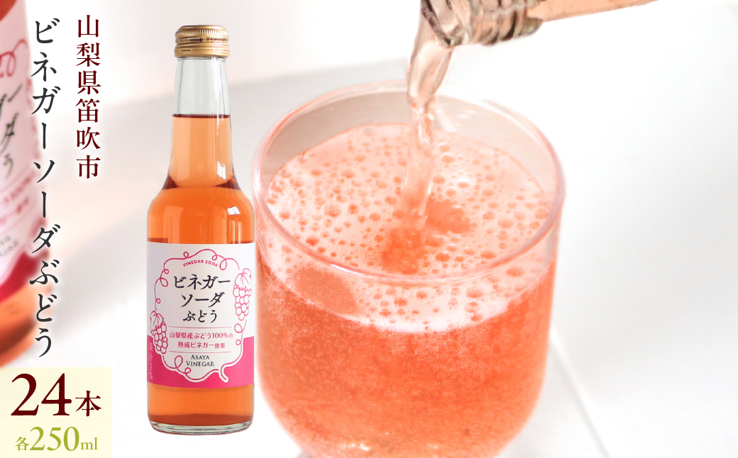 ビネガーソーダぶどう24本セット 182-032