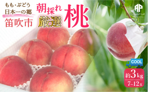 ＜25年発送先行予約＞笛吹市産　厳選! 旬の桃 約3kg (7~12玉) 205-002|もも 桃 3kg 3キロもも 桃 3kg 3キロもも 桃 3kg 3キロもも 桃 3kg 3キロもも 桃 3kg 3キロもも 桃 3kg 3キロもも 桃 3kg 3キロもも 桃 3kg 3キロもも 桃 3kg 3キロもも 桃 3kg 3キロもも 桃 3kg 3キロもも 桃 3kg 3キロもも 桃 3kg 3キロもも 桃 3kg 3キロ|