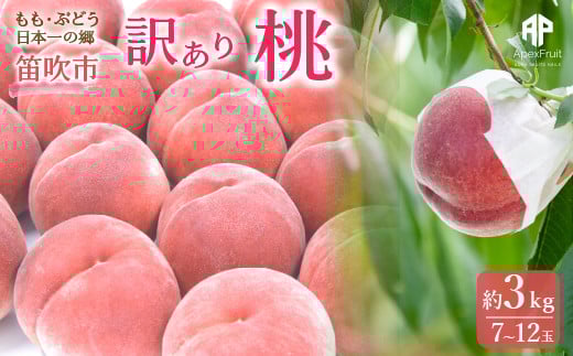 【2026年発送★先行予約】笛吹市産　訳あり桃 約3kg（7～12玉） 205-003