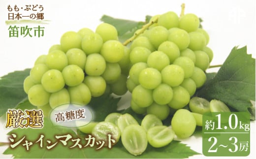 ＜25年発送先行予約＞笛吹市産　 厳選! シャインマスカット 2～3房 約1.0kg 205-004|シャインマスカット 1kg 1キロ 厳選シャインマスカット 1kg 1キロ 厳選シャインマスカット 1kg 1キロ 厳選シャインマスカット 1kg 1キロ 厳選シャインマスカット 1kg 1キロ 厳選シャインマスカット 1kg 1キロ 厳選シャインマスカット 1kg 1キロ 厳選|