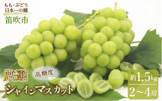 【2026年発送★先行予約】笛吹市産　シャインマスカット　約1.5kg（2～4房） 205-007