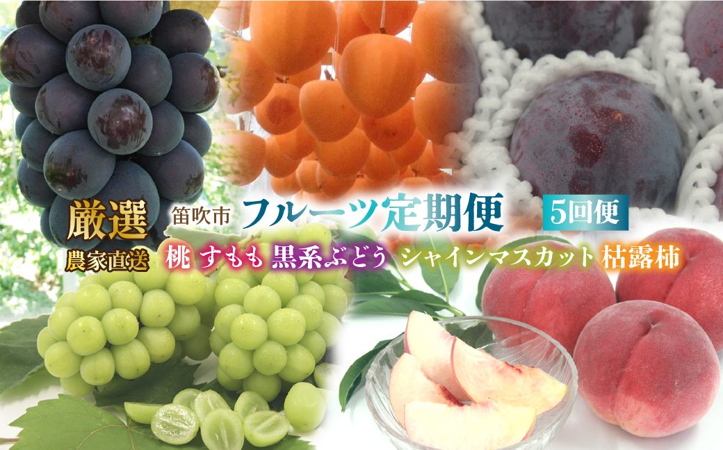 【2026年発送★先行予約】笛吹市産　厳選!農家直送「フルーツ定期便5回便」 205-013