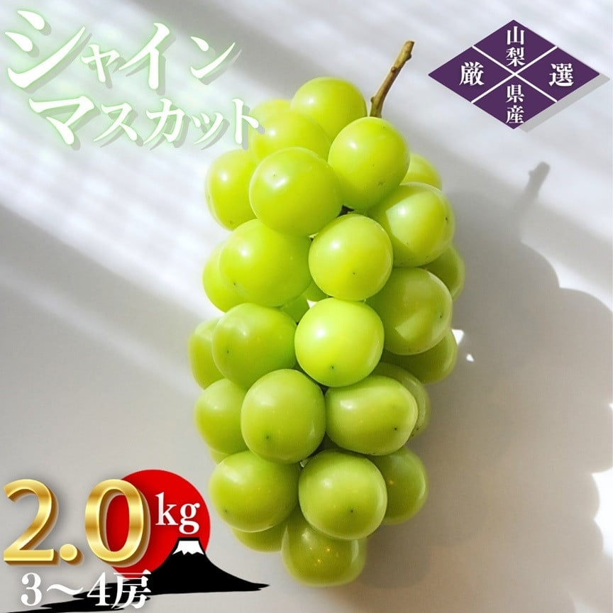 【2026年発送★先行予約】笛吹市産　厳選シャインマスカット［2.0kg］（3～4房）フルーツ大国！山梨県笛吹市より産地直送 209-005 OUTTA REACH JAPAN