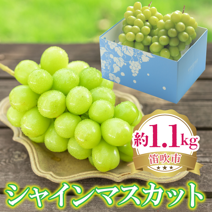 【2026年発送★先行予約】シャインマスカット 約1.1kg 222-008-1