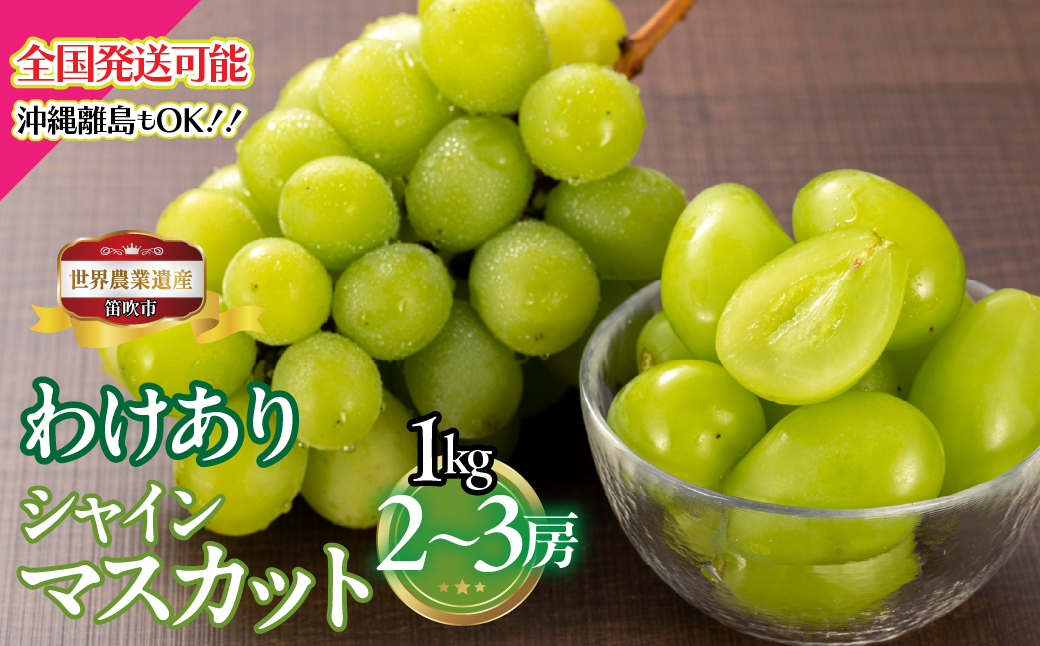 【2026年発送★先行予約】山梨県笛吹市産　わけありシャインマスカット　1kg　2房から3房 223-008