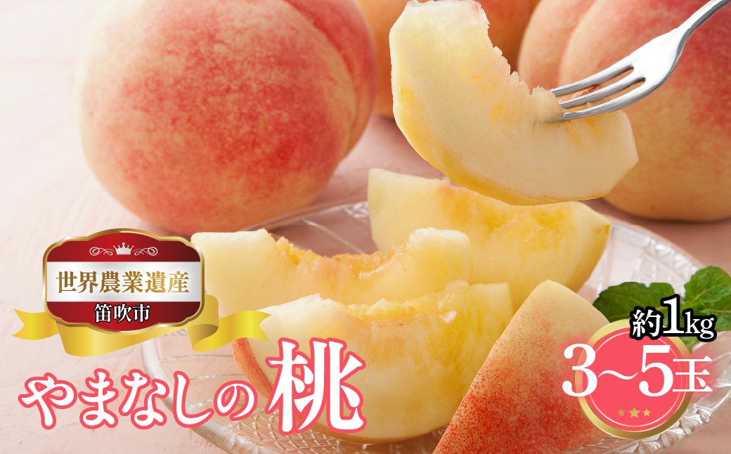 【2026年発送★先行予約】山梨県笛吹市産　桃　約１ｋｇ　3玉～5玉 223-012