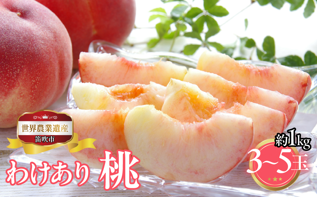【2026年発送★先行予約】山梨県笛吹市産　ご家庭用桃(わけあり)　1kg　3玉～5玉 223-015