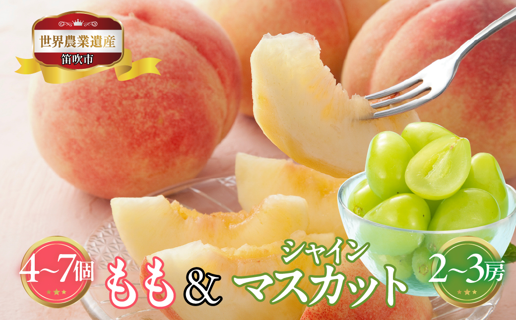 【2026年発送★先行予約】山梨県笛吹市産　桃(白桃)・シャインマスカット詰合せ　3kg(白桃4個～7個・シャインマスカット2房～3房) 223-018