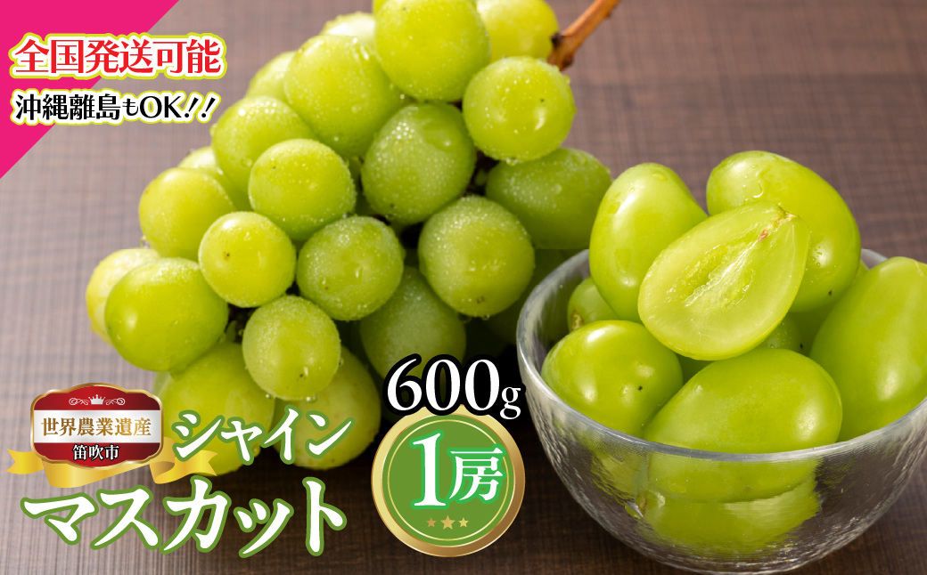 【2026年発送★先行予約】山梨県笛吹市産　シャインマスカット1房　600g 223-026