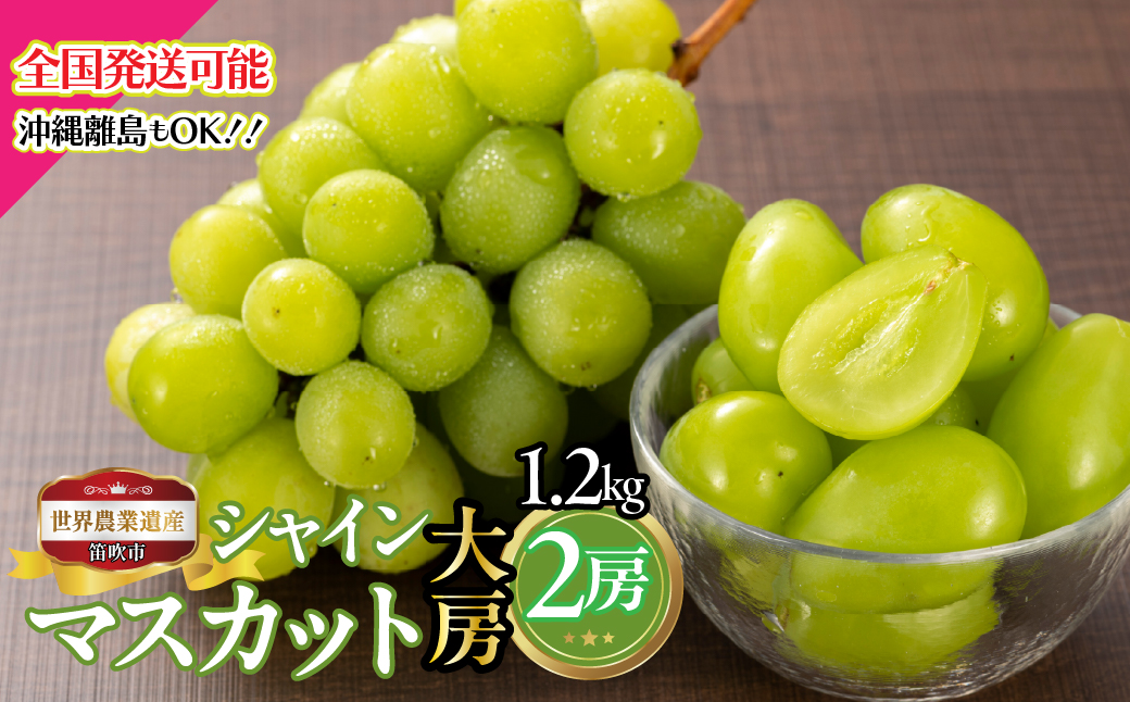 【2026年発送★先行予約】山梨県笛吹市産　シャインマスカットシャインマスカット大房　2房　1.2kg　223-027