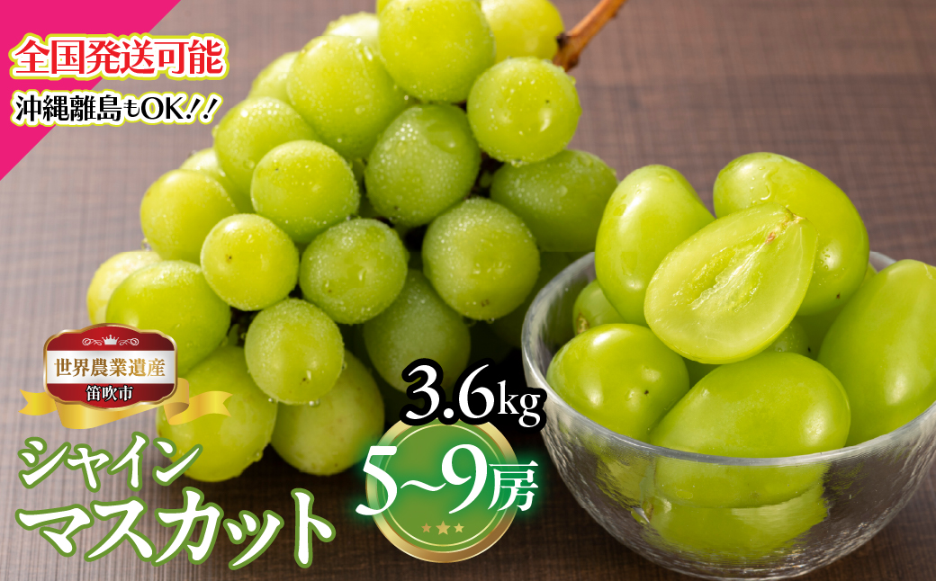 【2026年発送★先行予約】山梨県笛吹市産　シャインマスカット5房～9房 3.6kg  223-028