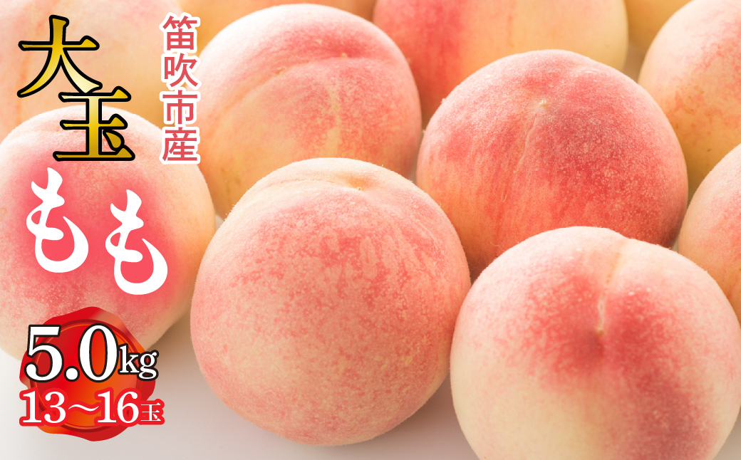 【2026年発送★先行予約】笛吹市産　大玉もも　5.0kg(13～16玉) 227-010