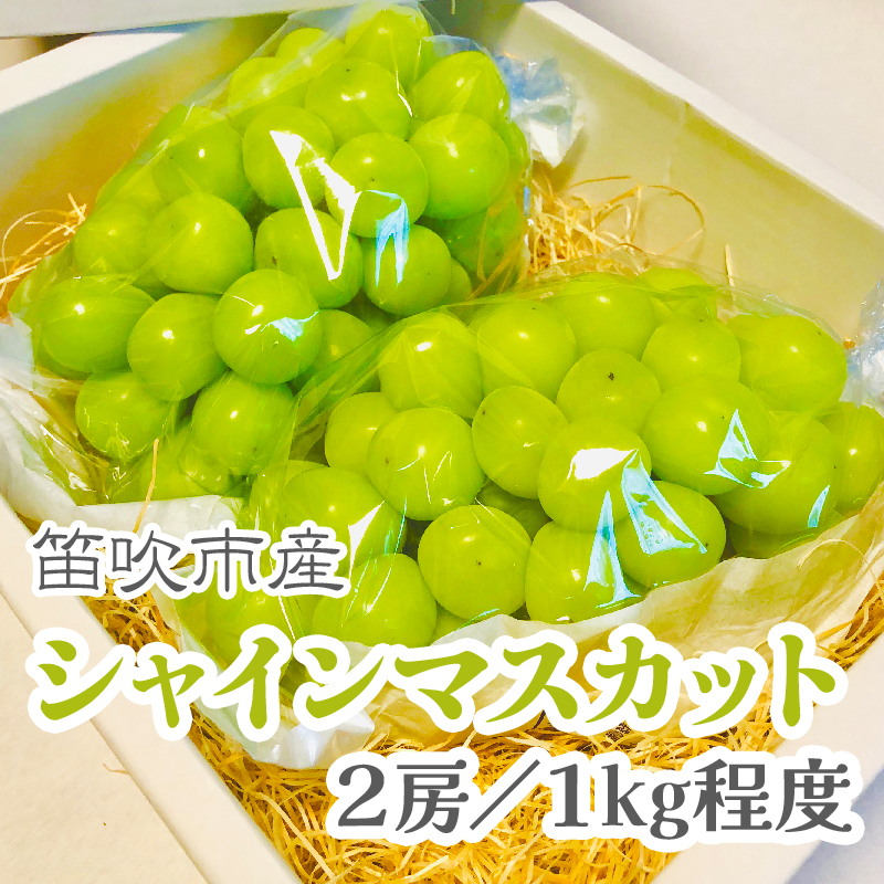 【2026年発送★先行予約】こだわりの逸品!　甘さと香り際立つ山梨県産シャインマスカット2房(合計1kg程度) 229-001