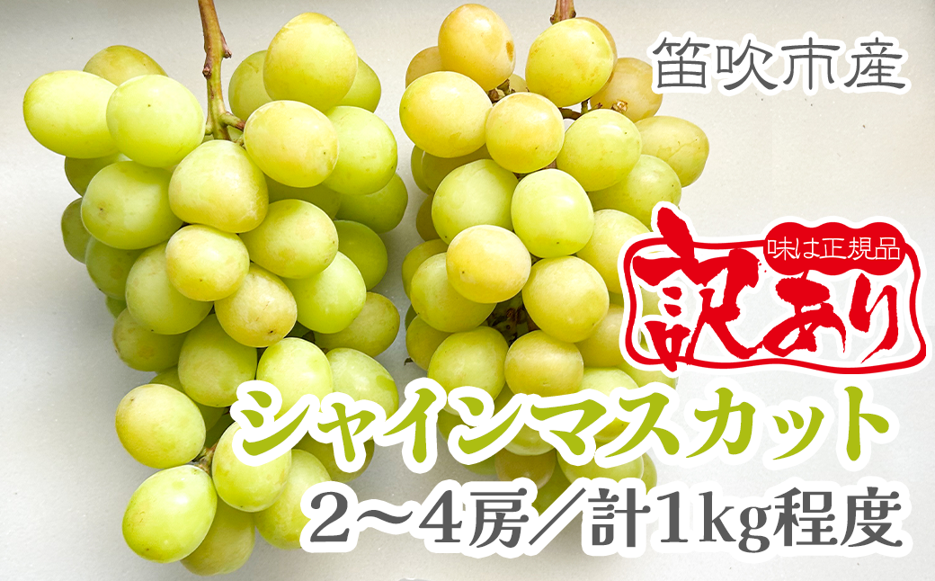 【2026年発送★先行予約】【訳あり品】山梨県産シャインマスカット2房～4房(合計1kg程度)　229-009