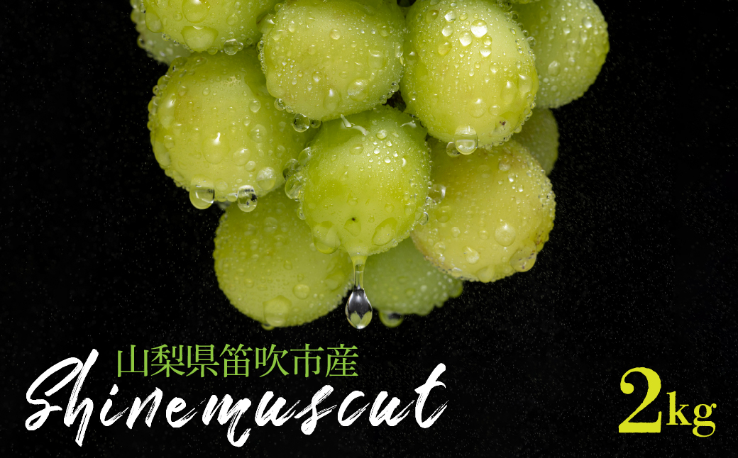 【2026年発送★先行予約】シャインマスカット 2kg以上 山梨県笛吹市産 235-003