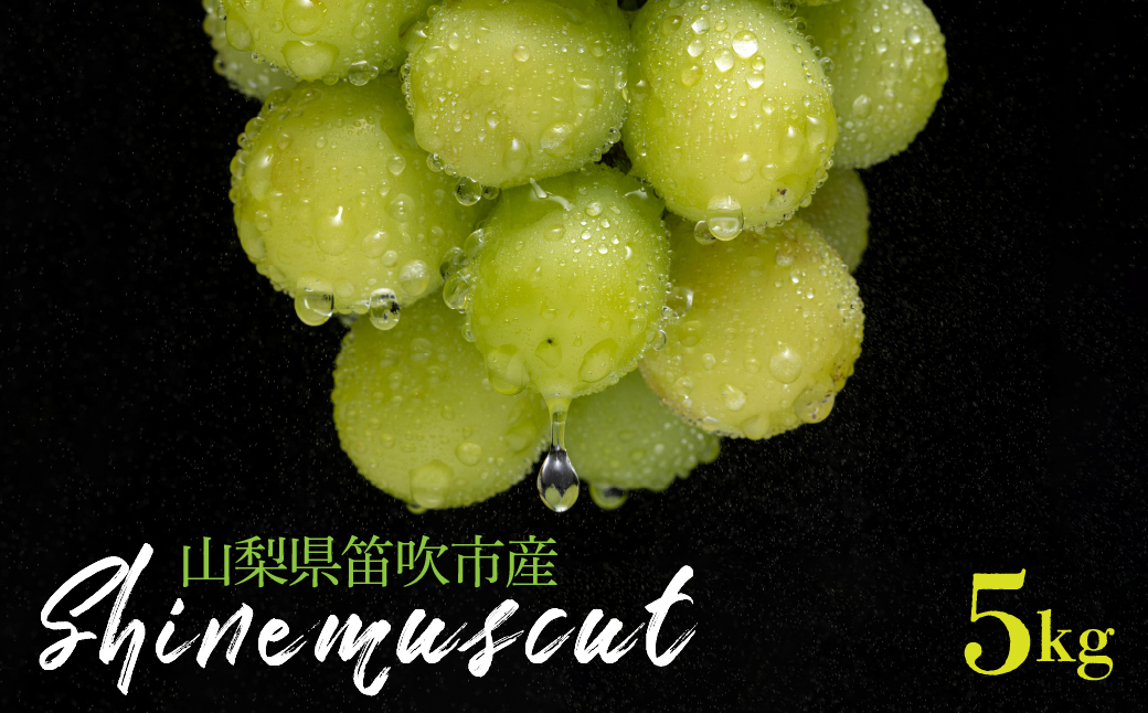 【2026年発送★先行予約】シャインマスカット 5kg 山梨県笛吹市産 235-005