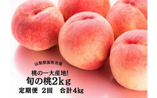 笛吹市産旬の桃満喫コース2kg×2回発送 167-009|もも 桃 定期便もも 桃 定期便もも 桃 定期便もも 桃 定期便もも 桃 定期便もも 桃 定期便もも 桃 定期便もも 桃 定期便もも 桃 定期便もも 桃 定期便もも 桃 定期便もも 桃 定期便もも 桃 定期便もも 桃 定期便