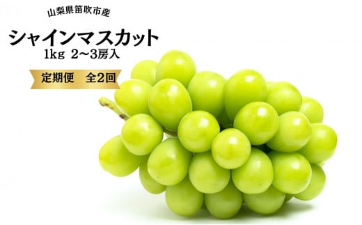 葡萄の一大産地!笛吹市産シャインマスカット定期便×2回167-015|ぶどう 定期便 シャインマスカットぶどう 定期便 シャインマスカットぶどう 定期便 シャインマスカットぶどう 定期便 シャインマスカットぶどう 定期便 シャインマスカットぶどう 定期便 シャインマスカットぶどう 定期便 シャインマスカットぶどう 定期便 シャインマスカットぶどう 定期便 シャインマスカット