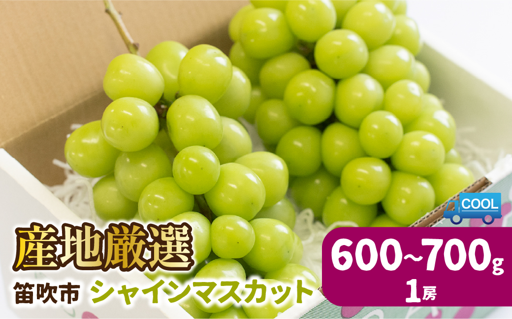 [25年発送先行予約]産地厳選シャインマスカット600g〜700g(1房)106-021|シャインマスカットシャインマスカットシャインマスカットシャインマスカットシャインマスカットシャインマスカットシャインマスカットシャインマスカットシャインマスカットシャインマスカットシャインマスカットシャインマスカットシャインマスカットシャインマスカット