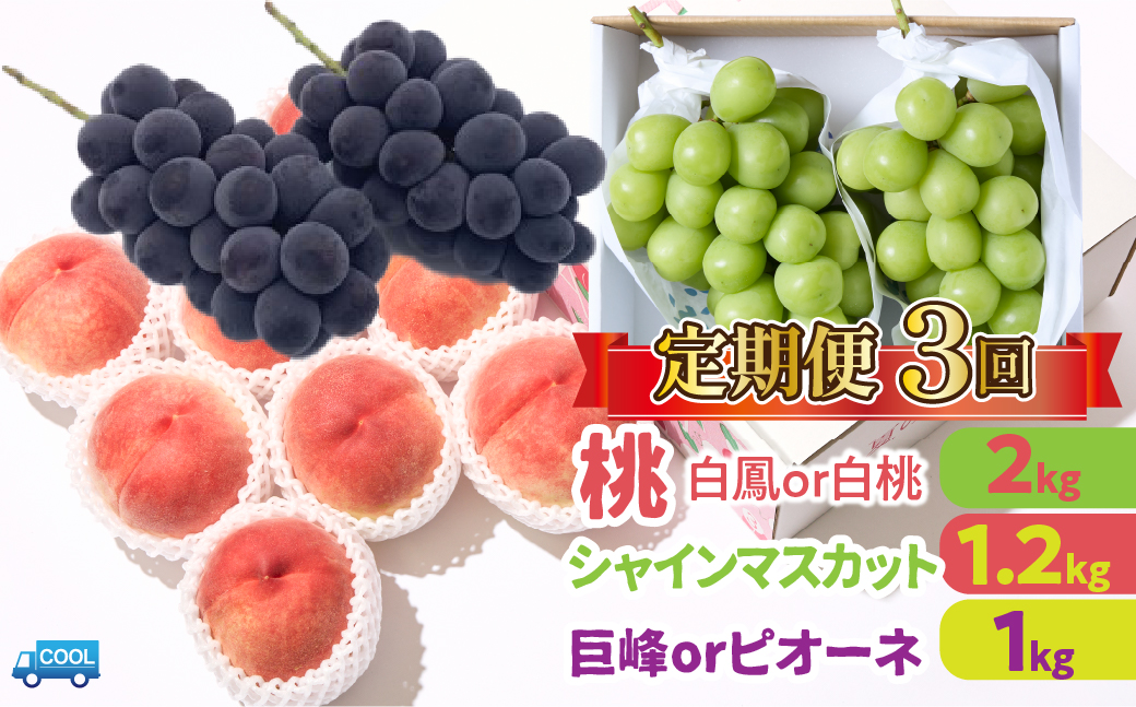 ＜25年発送先行予約＞【年3回定期便】桃・シャインマスカット・巨峰orピオーネ 106-023