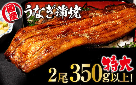 山梨県産富士山脈の地下水うなぎの蒲焼 特大2尾 350g以上138-003|うなぎ 鰻 国産 特大うなぎ 鰻 国産 特大うなぎ 鰻 国産 特大うなぎ 鰻 国産 特大うなぎ 鰻 国産 特大うなぎ 鰻 国産 特大うなぎ 鰻 国産 特大うなぎ 鰻 国産 特大うなぎ 鰻 国産 特大うなぎ 鰻 国産 特大うなぎ 鰻 国産 特大うなぎ 鰻 国産 特大うなぎ 鰻 国産 特大うなぎ 鰻 国産 特大