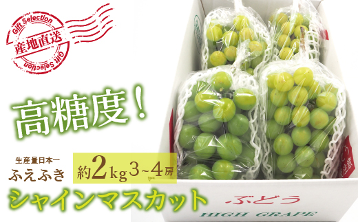 厳選!山梨県笛吹市産 シャインマスカット 約2.0kg(3〜4房)156-001|シャインマスカット 笛吹市 2kgシャインマスカット 笛吹市 2kgシャインマスカット 笛吹市 2kgシャインマスカット 笛吹市 2kgシャインマスカット 笛吹市 2kgシャインマスカット 笛吹市 2kgシャインマスカット 笛吹市 2kgシャインマスカット 笛吹市 2kgシャインマスカット 笛吹市 2kg