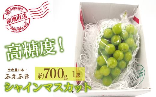 厳選!山梨県笛吹市産 シャインマスカット 約700g(1房)156-005|シャインマスカット 笛吹市 山梨シャインマスカット 笛吹市 山梨シャインマスカット 笛吹市 山梨シャインマスカット 笛吹市 山梨シャインマスカット 笛吹市 山梨シャインマスカット 笛吹市 山梨シャインマスカット 笛吹市 山梨シャインマスカット 笛吹市 山梨シャインマスカット 笛吹市 山梨シャインマスカット 笛吹市 山梨