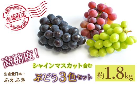 厳選! 山梨県笛吹市産 シャインマスカット含む3色セット 約1.8kg156-007|ぶどう 食べ比べ 笛吹市ぶどう 食べ比べ 笛吹市ぶどう 食べ比べ 笛吹市ぶどう 食べ比べ 笛吹市ぶどう 食べ比べ 笛吹市ぶどう 食べ比べ 笛吹市ぶどう 食べ比べ 笛吹市ぶどう 食べ比べ 笛吹市ぶどう 食べ比べ 笛吹市ぶどう 食べ比べ 笛吹市ぶどう 食べ比べ 笛吹市ぶどう 食べ比べ 笛吹市ぶどう 食べ比べ 笛吹市