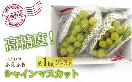 厳選! 山梨県笛吹市産シャインマスカット 約1.0kg(2〜3房)156-009|シャインマスカット 笛吹市 山梨シャインマスカット 笛吹市 山梨シャインマスカット 笛吹市 山梨シャインマスカット 笛吹市 山梨シャインマスカット 笛吹市 山梨シャインマスカット 笛吹市 山梨シャインマスカット 笛吹市 山梨シャインマスカット 笛吹市 山梨シャインマスカット 笛吹市 山梨シャインマスカット 笛吹市 山梨