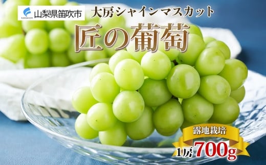 [25年発送先行予約]露地山梨県産 シャインマスカット 1房約700g程度177-012|シャインマスカット 甘い 山梨県シャインマスカット 甘い 山梨県シャインマスカット 甘い 山梨県シャインマスカット 甘い 山梨県シャインマスカット 甘い 山梨県シャインマスカット 甘い 山梨県シャインマスカット 甘い 山梨県シャインマスカット 甘い 山梨県シャインマスカット 甘い 山梨県シャインマスカット 甘い 山梨県