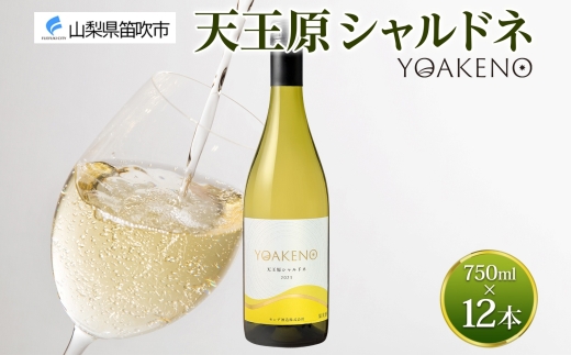 YOAKENO 天王原シャルドネ 750ml×12本177-4-081 |天王原シャルドネ 白ワイン 12本天王原シャルドネ 白ワイン 12本天王原シャルドネ 白ワイン 12本天王原シャルドネ 白ワイン 12本天王原シャルドネ 白ワイン 12本