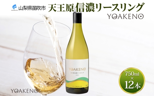 YOAKENO天王原信濃リースリング 750ml×12本177-4-082 |天王原信濃リースリング 白ワイン 12本天王原信濃リースリング 白ワイン 12本天王原信濃リースリング 白ワイン 12本天王原信濃リースリング 白ワイン 12本天王原信濃リースリング 白ワイン 12本