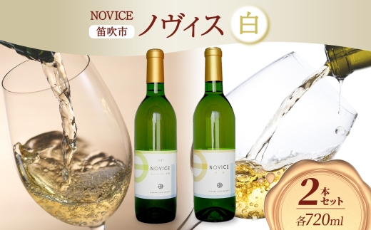 [2024年11月〜発送]白ワイン NOVICE ノヴィス 白 2種 セット シュール・リー 甲州&甲州 720ml 各1本 計2本 フルボトル 日川中央葡萄酒 山梨県 笛吹市 177-7-21