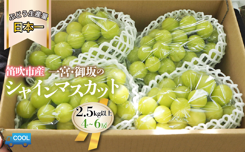 山梨県産 シャインマスカット2.5kg以上(4〜6房)大容量 180-003|シャインマスカット 山梨県 シャインマスカット 山梨 シャインマスカット 山梨県産シャインマスカット 山梨県 シャインマスカット 山梨 シャインマスカット 山梨県産シャインマスカット 山梨県 シャインマスカット 山梨 シャインマスカット 山梨県産シャインマスカット 山梨県 シャインマスカット 山梨 シャインマスカット 山梨県産